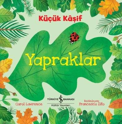 Küçük Kaşif-Yapraklar Yazar: Carol Lawrence - 1