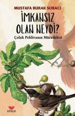 Mustafa Burak Sobacı İmkansız Olan Neydi, Efsus Yayınları - 1