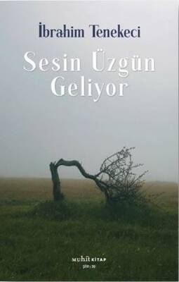 Sesin Üzgün Geliyor - İbrahim Tenekeci - 1